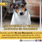 Noticias FB-Ins (93)